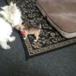 Profile Picture of Richard Melucci (@meluccirichard) on Instagram