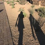 Profile Picture of Catherine Olson Brooks (@cmarshall_mks) on Instagram