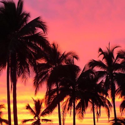 Profile Picture of Erik Lazo (@ozalkire12) on Twitter