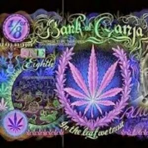 Profile Picture of Michael Imparato145 (@michaelimparato2) on Tiktok