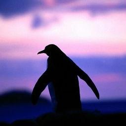 Profile Picture of Autumn Terry (@Autumn420Terry) on Twitter