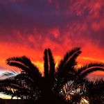 Ted Hall - Instagram Profile Picture of Ted Hall (@clubted2009) on Instagram