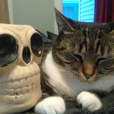 Profile Picture of Mark (@MarKennethLeigh) on Twitter