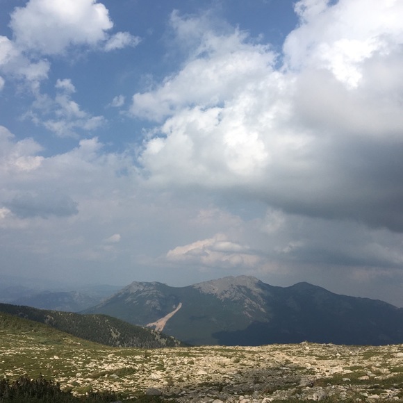 Profile Picture of Zoe Scott (@zoedogs32) on Poshmark