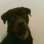 Profile Picture of maxine curtis (@maxine1960) on Instagram