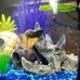 Profile Picture of Stanley Tiger (@stanley.tiger.395) on Facebook