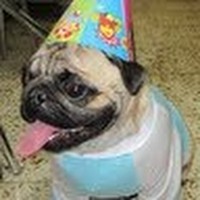 Profile Picture of Swapna Shah (@swapna-shah-7) on Quora