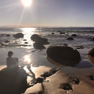 Profile Picture of S. Stanford (@sue_stanford) on Twitter