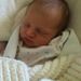 Profile Picture of Danielle Reichenberg (@dreichen) on Pinterest