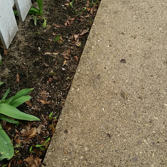 Profile Picture of Cameron Haycraft (@cam09876) on Poshmark