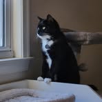 Profile Picture of Tamara Hoffmann Shipp (@grandmommy71317) on Facebook