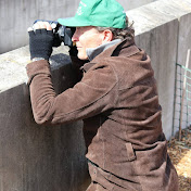 Profile Picture of Tony Whitehead (@tonywhitehead1601) on Youtube