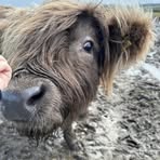 Profile Picture of Stacey Stanford (@Stacey-Stanford) on Facebook