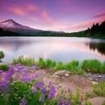 Profile Picture of Chris McAbee (@chris.mcabee.9083) on Instagram