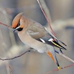 Profile Picture of JACOB (@jacobcinadr7y) on Instagram