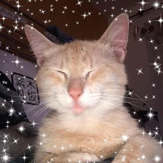 Profile Picture of Jerome Antoine (@jerome.luyssen) on Facebook