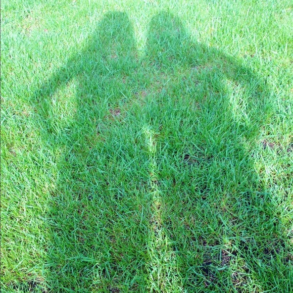 Sophia Strelnieks - Poshmark Profile Picture of Sophia Strelnieks (@sstrelnieks) on Poshmark