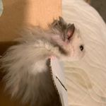 Profile Picture of Mia Nicole Locascio (@mianicolelocascio) on Instagram