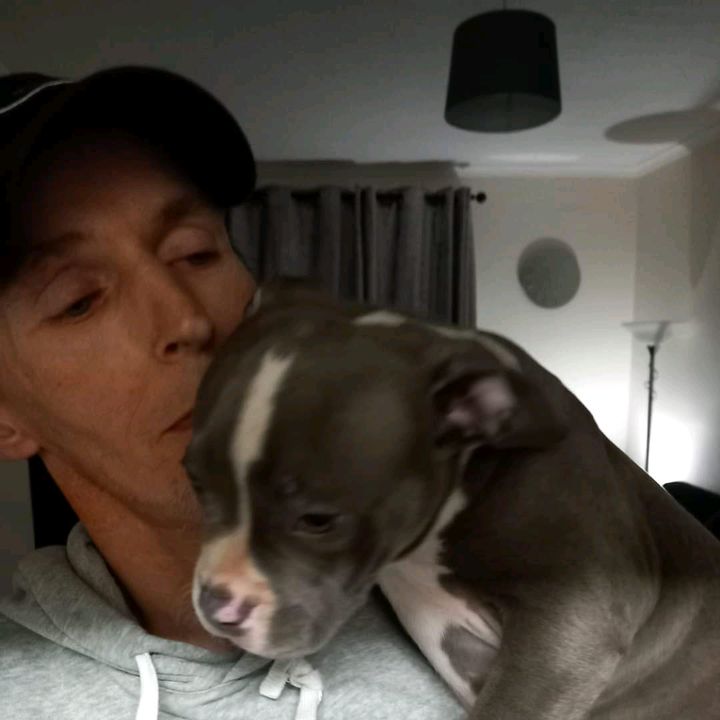 Profile Picture of Sean Reid (@sean.reid00) on Tiktok