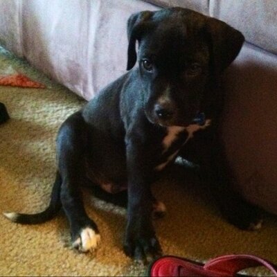 Profile Picture of Michael E. Eck (@Coacheck3) on Twitter