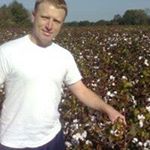 Aaron Faulkner - Instagram Profile Picture of Aaron Faulkner (@gobluewhitesox) on Instagram