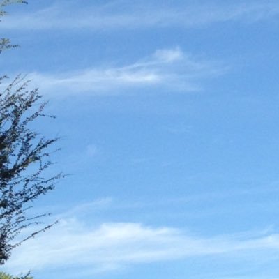 Profile Picture of Sharon (@Sharon2Matthews) on Twitter