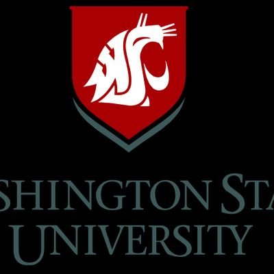 Profile Picture of Yanni2020 (@YanKusayev) on Twitter