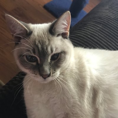 Profile Picture of Colin Rennie (@colinrennie10) on Twitter