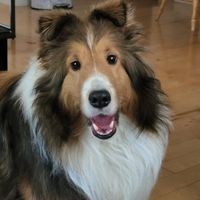 Profile Picture of Glenn Legge (@glenn-legge-4) on Quora