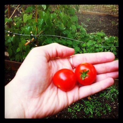 Profile Picture of Hannah Lytle (@Hannoellyt) on Twitter