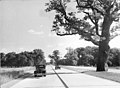 Profile Picture of Reichsautobahn - Wikipediaon Wikipedia