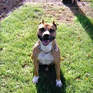 Profile Picture of Logan Berger (@ganlo95) on Myspace