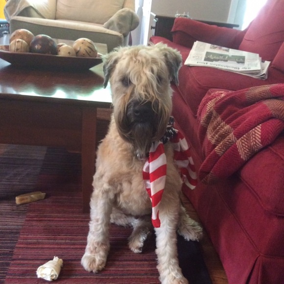 Profile Picture of Joe Barry (@joebarry19) on Poshmark