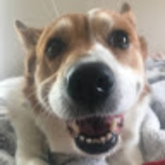 Profile Picture of Cody Hoskins (@bluedream5gr) on Poshmark