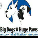 Profile Picture of Big Dogs Huge Paws, Inc. (@big_dogs_huge_paws_inc) on Instagram