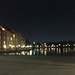 Leo - Instagram Profile Picture of Leo (@leo_arguello4) on Instagram