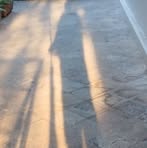 Profile Picture of Andrew Pacu (@andrew.pacu) on Facebook