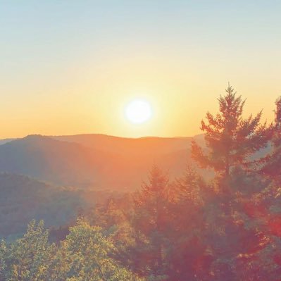 Profile Picture of Luke Lombardo (@LukeLombardo_) on Twitter