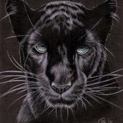 Profile Picture of Mark Formby (@MarkFormby) on Twitter