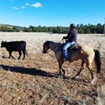 Alroy Billiman - Instagram Profile Picture of Alroy Billiman (@alroybilliman) on Instagram