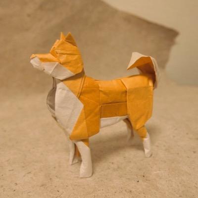 Origami Doge - Twitter Profile Picture of Origami Doge (@FluhartyMatt) on Twitter