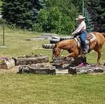 Profile Picture of Jean Fothergill (@jean.fothergill.7) on Facebook