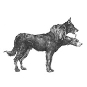 Profile Picture of Marsha Bronson (@marshabronson8177) on Youtube