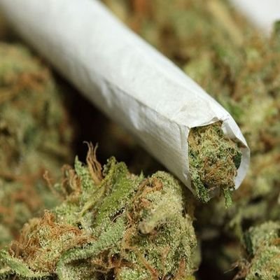 Profile Picture of Mario David Azua (@mariodavidazua1) on Twitter