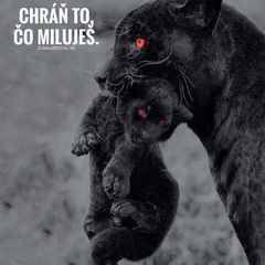 Profile Picture of robertkobelak (@robertkobelak) on Tiktok