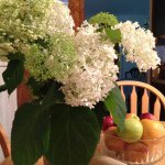 Profile Picture of Nancy (@nancyboyntonmarciano) on Instagram