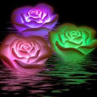 Profile Picture of Rosalba Cabrera (@rosalbacabrera5) on Twitter