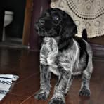 Profile Picture of James Breitung (@james.breitung.9) on Facebook