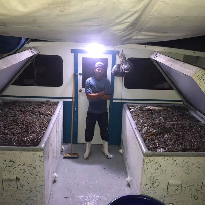 Profile Picture of Brad Bailey (@@shrimp_king_88) on Tiktok