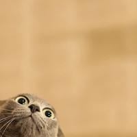 Chelsie Andrews - Quora Profile Picture of Chelsie Andrews (@chelsie-andrews-4) on Quora